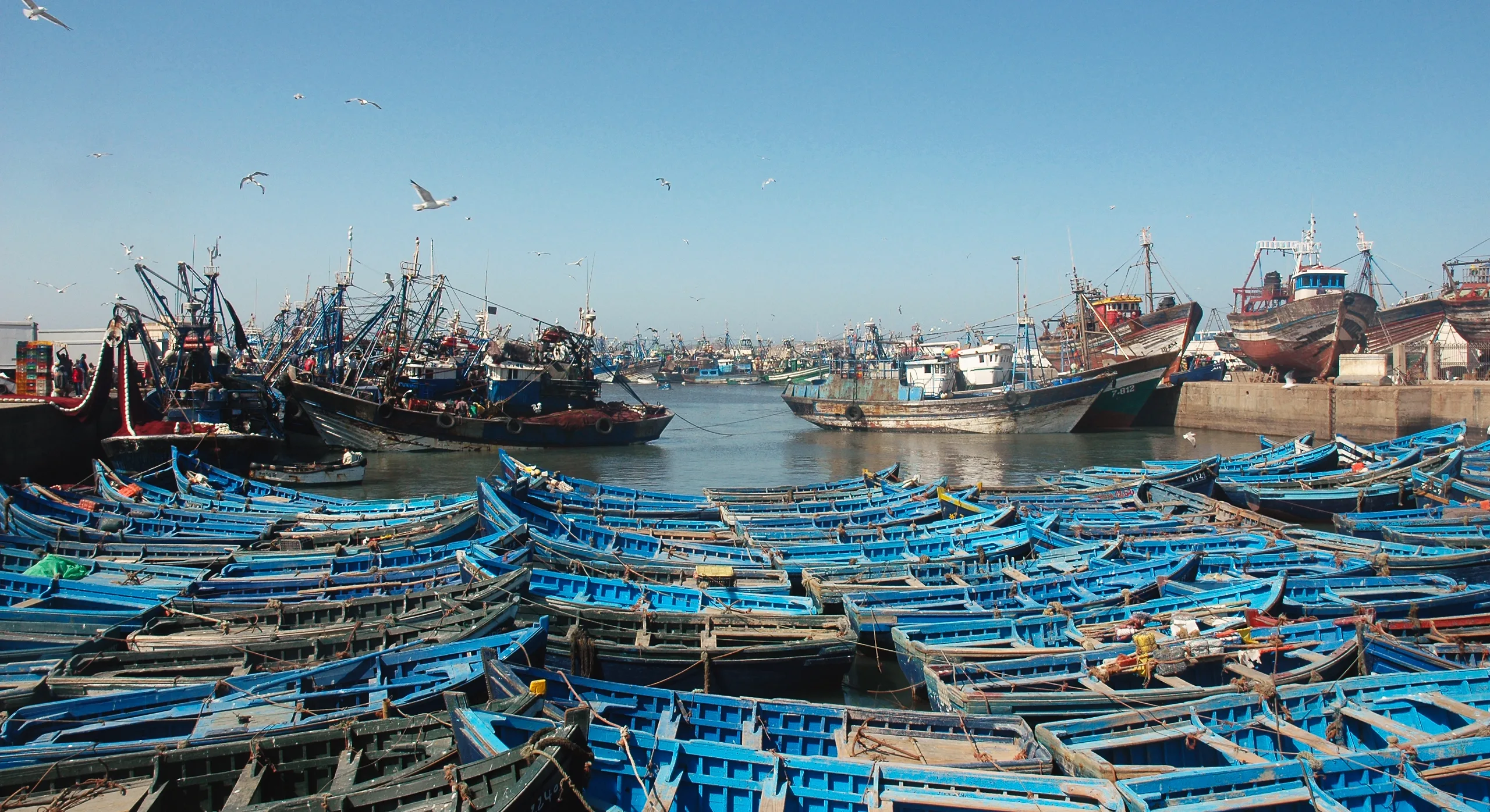 Blue fishing boats moored in the port of Essaouira