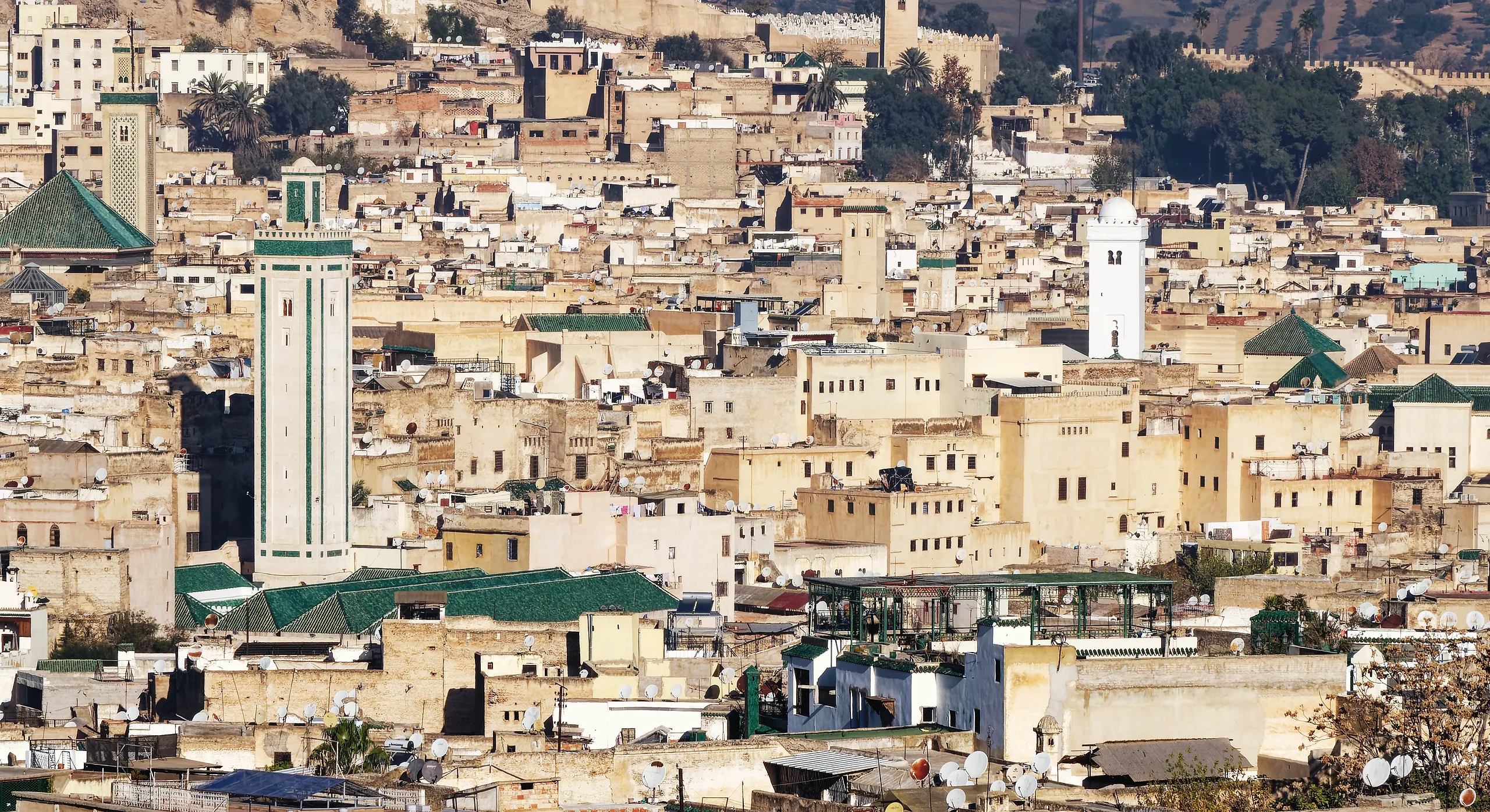 Rooftops of the walled medina of Fes el-Bali