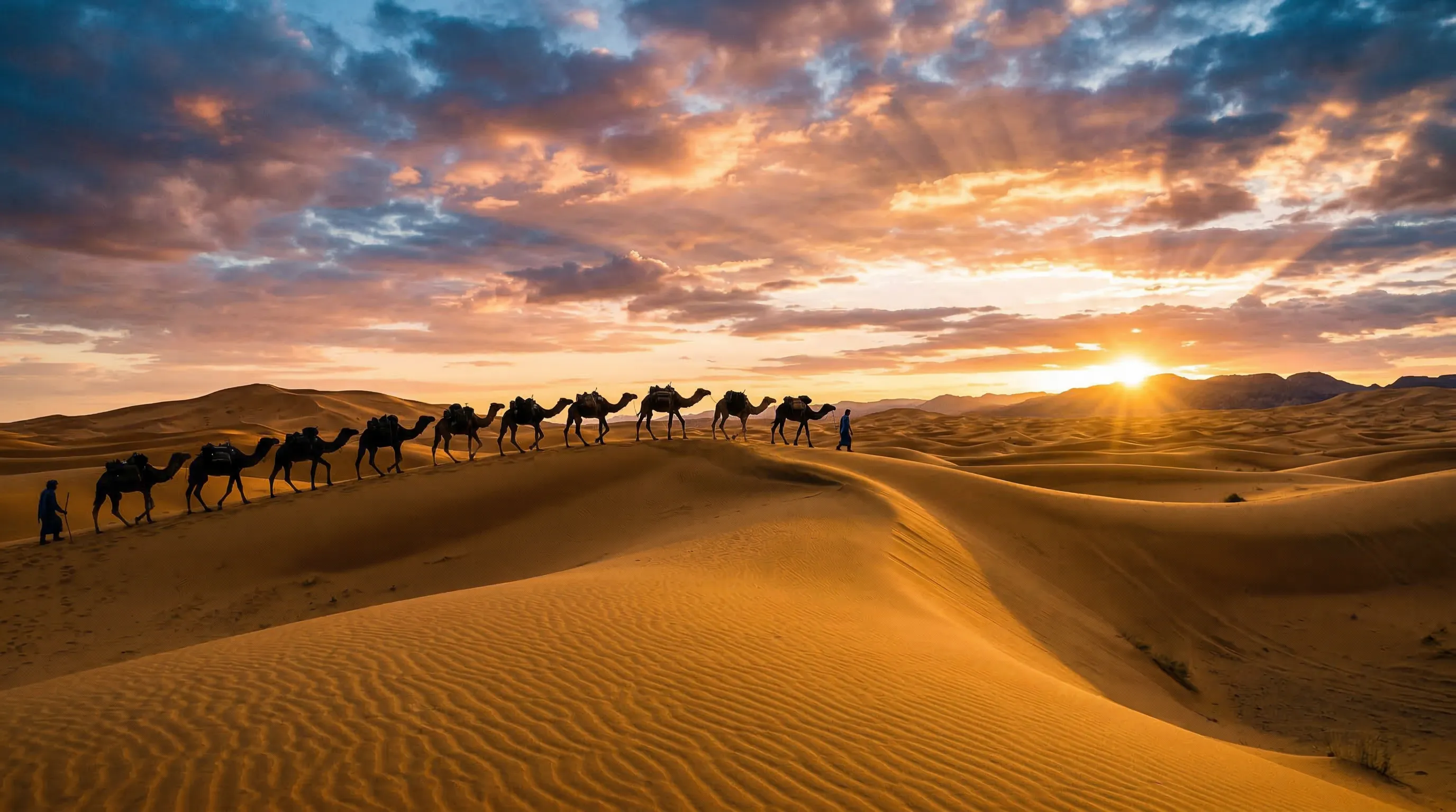 Camel caravan crossing the Sahara at sunset